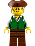 LEGO idea070 Robin Loot